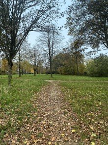 Direkt neben einem gro�en Park *R E S E R V I E R T ! ! 1 FH-mit Garten, EB-K�che, Carport, Doppelgarage u.v.m. in MG-Hockstein!*