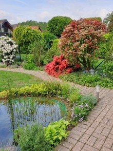 Garten *R E S E R V I E R T ! ! 1 FH-mit Garten, EB-K�che, Carport, Doppelgarage u.v.m. in MG-Hockstein!*