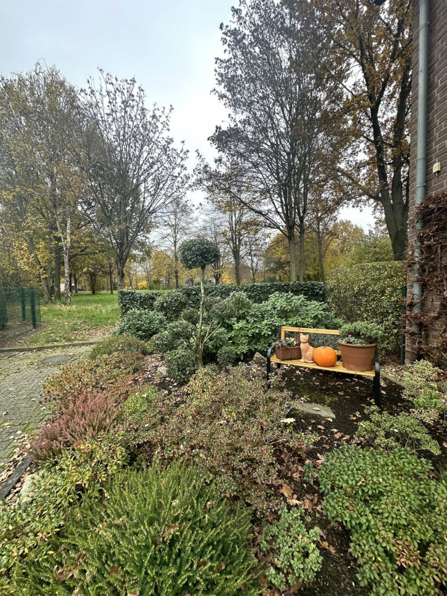 Vorgarten Reihenendhaus M�nchengladbach