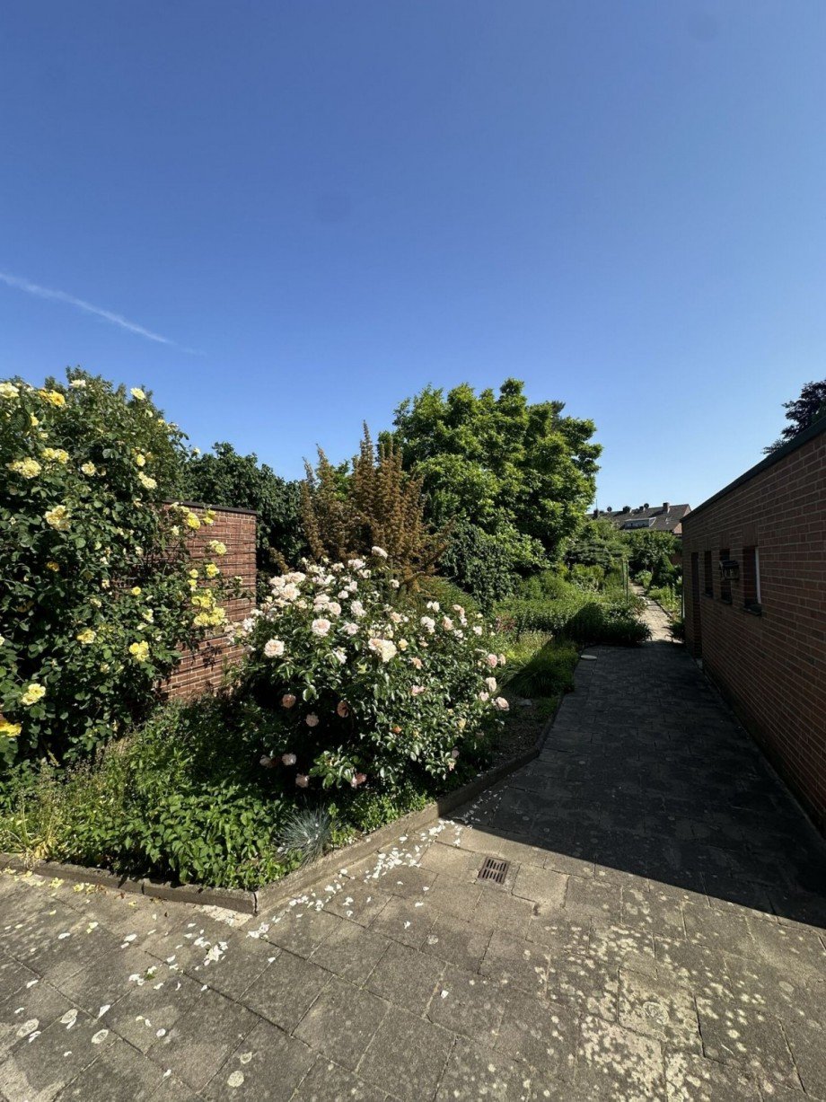 09-GARTEN_2880-comp - Kopie Erdgeschosswohnung M�nchengladbach
