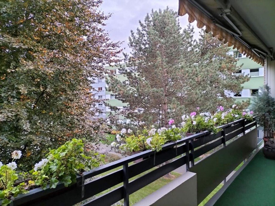 Blickdicht im Sommer Etagenwohnung M�nchengladbach