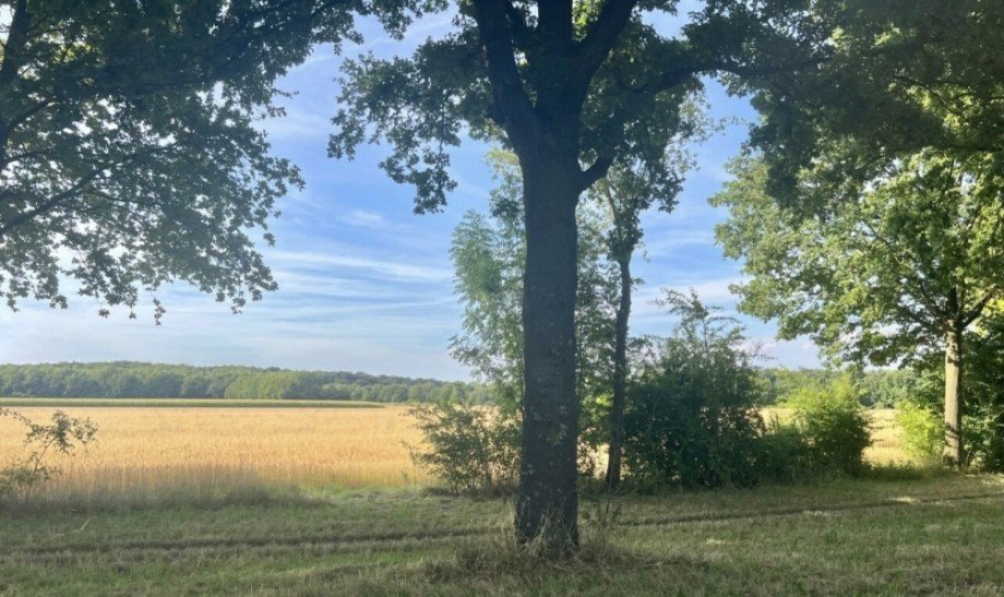 Direkte Umgebung Villa M�nchengladbach