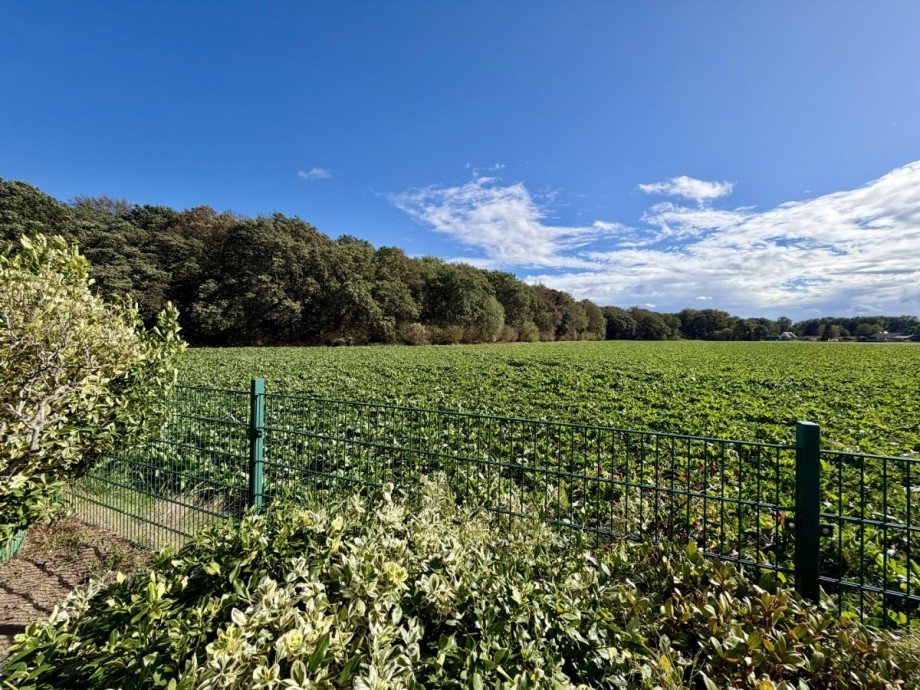 Unverbauter Weitblick Doppelhaush�lfte M�nchengladbach