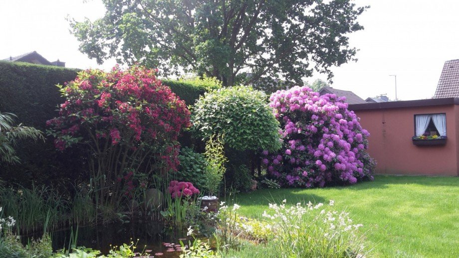 Weitere Ansicht Garten Reihenendhaus M�nchengladbach